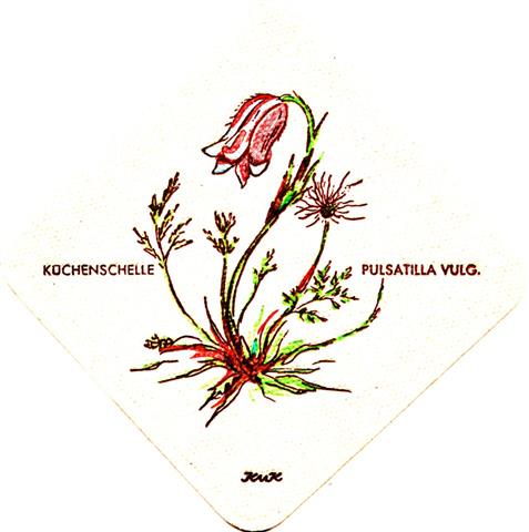 weisenbach ra-bw katz blumen raute  1a (raute185-kchenschelle)